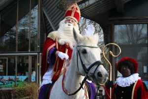 Sinterklaas in Plaswijckpark