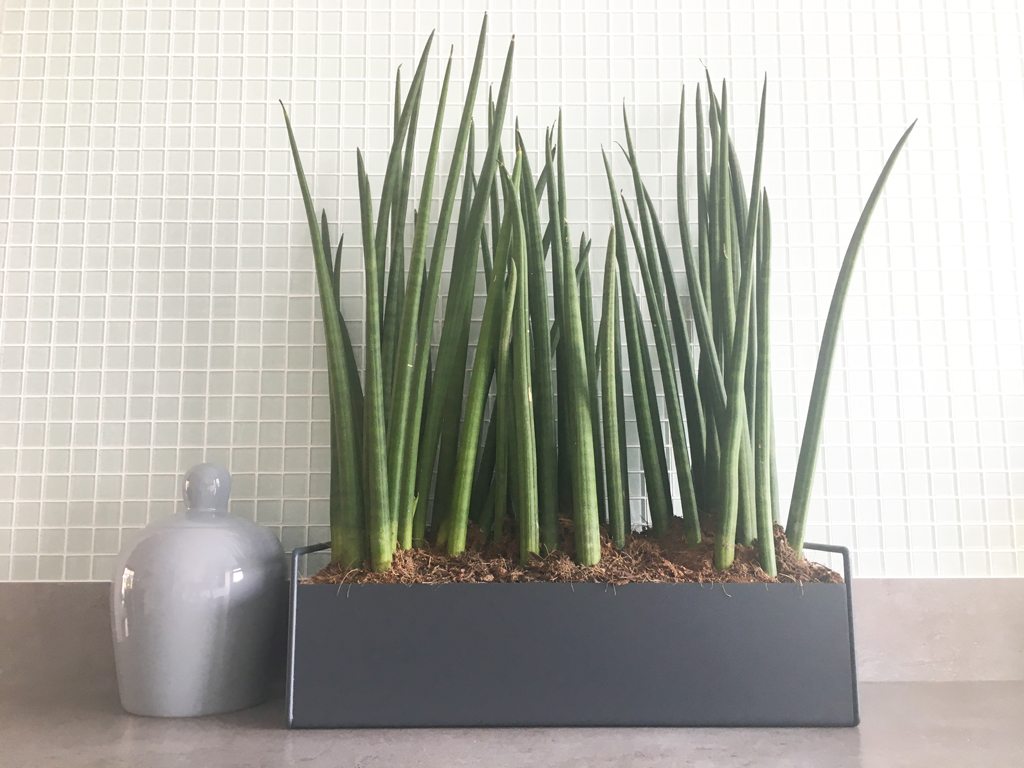 Ferm Living Plant Box